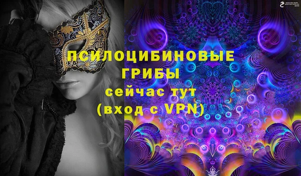 МДПВ Краснотурьинск