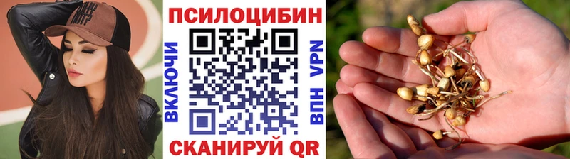 Псилоцибиновые грибы Magic Shrooms  Купить где  Славгород 